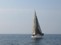 th_IMG_0088.jpg