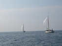 th_IMG_0090.jpg