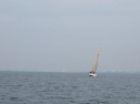 th_IMG_0096.jpg