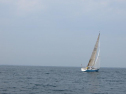 th_IMG_0104.jpg