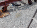 th_IMGA0023.jpg