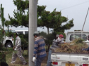 th_IMGA0031.jpg
