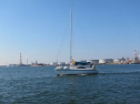 IMG_2923001.jpg