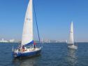 IMG_2931001.jpg