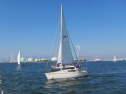 IMG_2932001.jpg