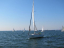 IMG_2934001.jpg