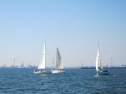 IMG_2935001.jpg