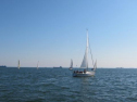 IMG_2936001.jpg