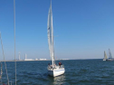 IMG_2937001.jpg