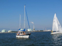 IMG_2939001.jpg
