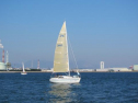 IMG_2940001.jpg