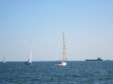 IMG_2941001.jpg