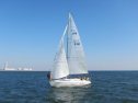 IMG_2944001.jpg