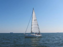 IMG_2945001.jpg
