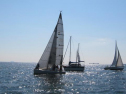 IMG_2946001.jpg