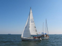 IMG_2949001.jpg