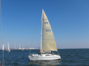 IMG_2950001.jpg