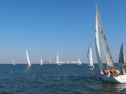 IMG_2954001.jpg