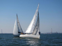IMG_2956001.jpg
