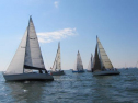 IMG_2957001.jpg