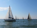 IMG_2958001.jpg