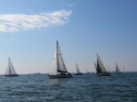 IMG_2959001.jpg