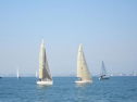 IMG_2966001.jpg