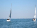 IMG_2967001.jpg