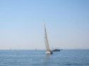 IMG_2968001.jpg