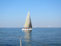 IMG_2969001.jpg