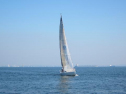 IMG_2978001.jpg