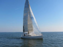 IMG_2979001.jpg