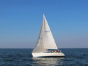 IMG_2988001.jpg