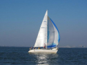 IMG_2989001.jpg
