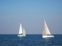 IMG_2991001.jpg