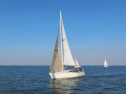 IMG_2993001.jpg