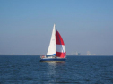 IMG_2994001.jpg