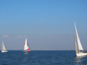 IMG_2995001.jpg