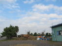 IMG_3105001.jpg
