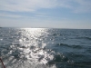 IMG_0623001.jpg