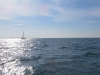 IMG_0624001.jpg