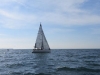 IMG_0625001.jpg