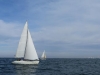 IMG_0632001.jpg