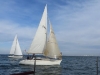IMG_0637001.jpg