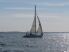 IMG_0638001.jpg