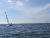 IMG_0653001.jpg