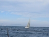 IMG_0655001.jpg