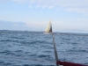 IMG_0656001.jpg