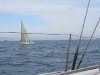IMG_0658001.jpg