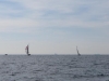 IMG_0661001.jpg